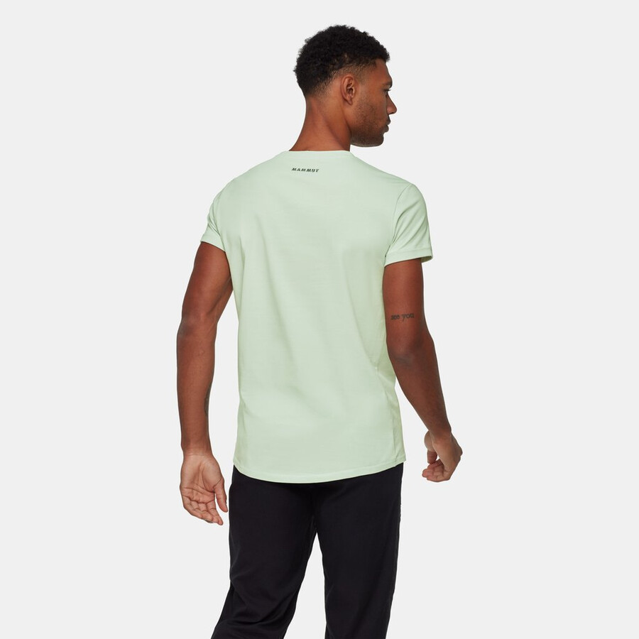 mammut seon t-shirt voor heren alpinist zilverkleurig.