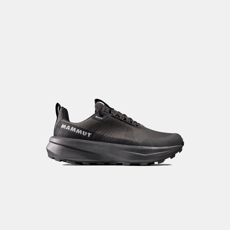 aenergy mtn low gtx heren iguana-zwart