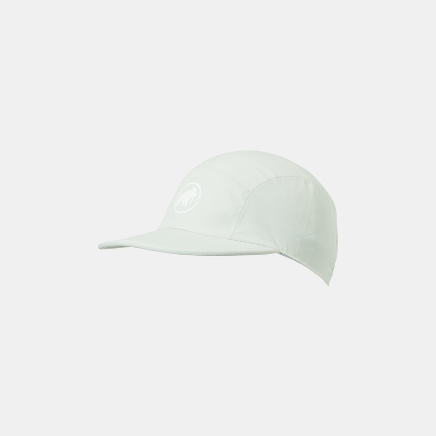 aenergy light cap silver sage
