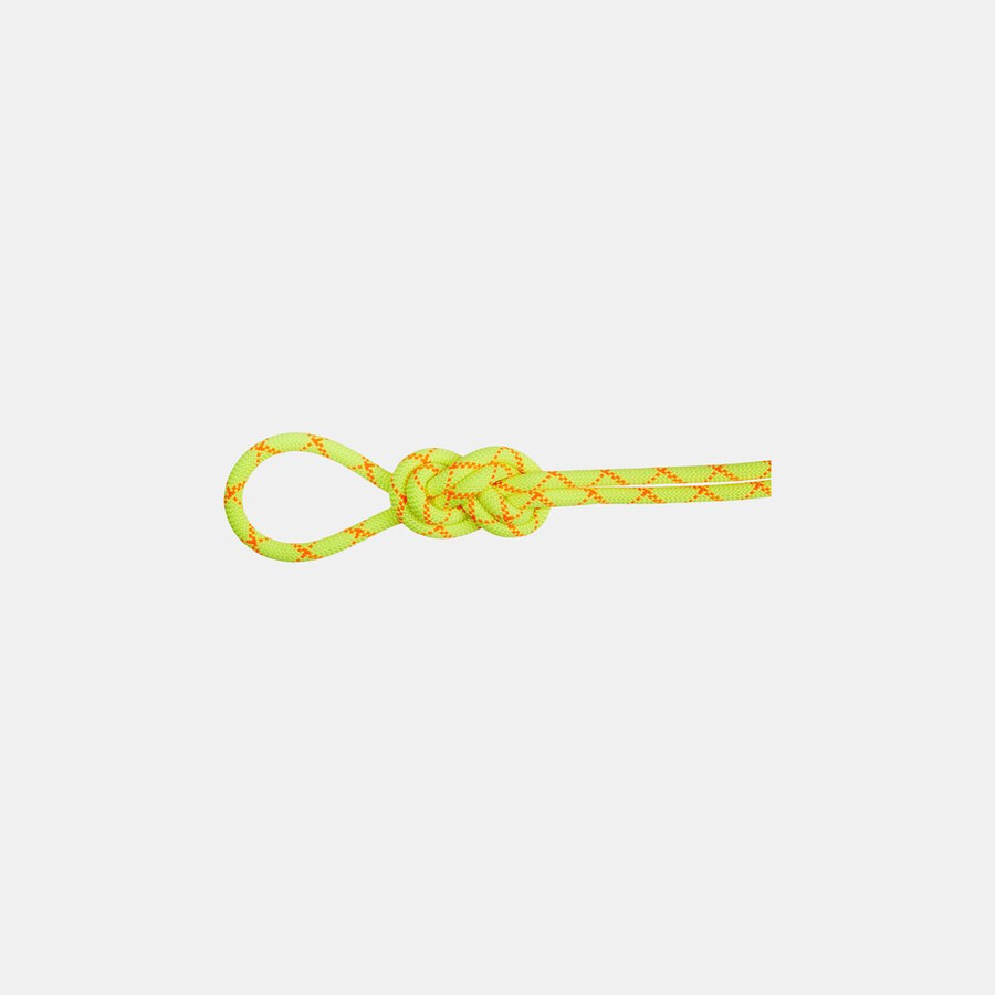 9.5 alpine core protect dry rope halo - levendig oranje