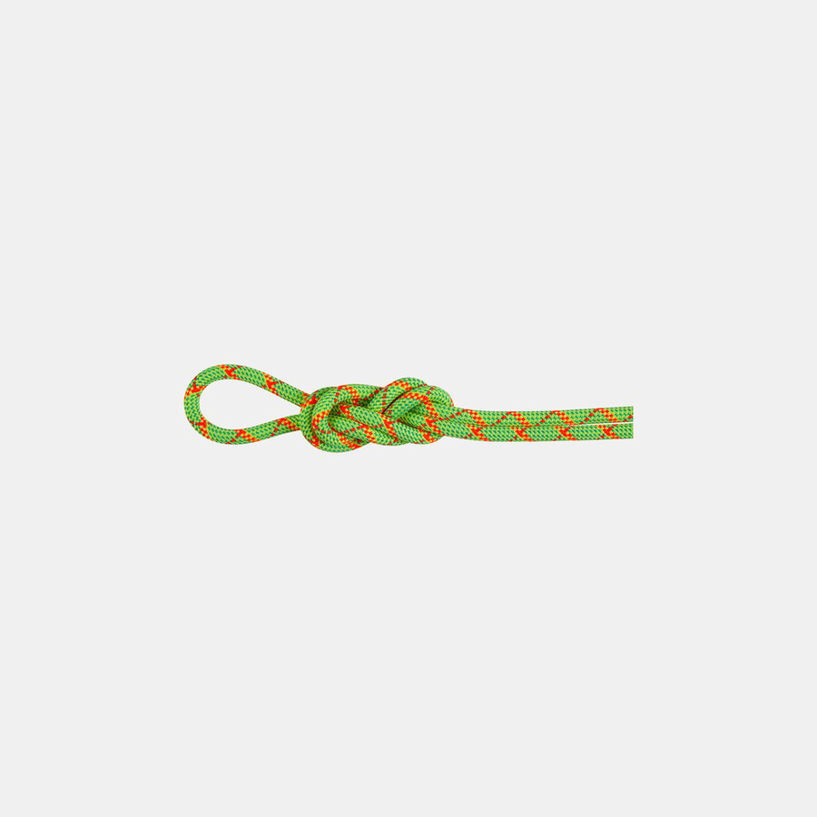 8.0 alpine core protect dry rope 60m halo-vibrant orange