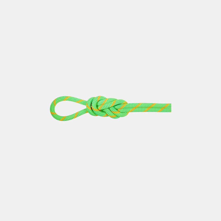 8.0 alpine eco dry rope 70m